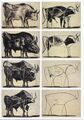 Pablo Picasso's kubistisch stier (1945).jpg