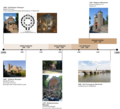 Thumbnail for version as of 12:54, 29 July 2025